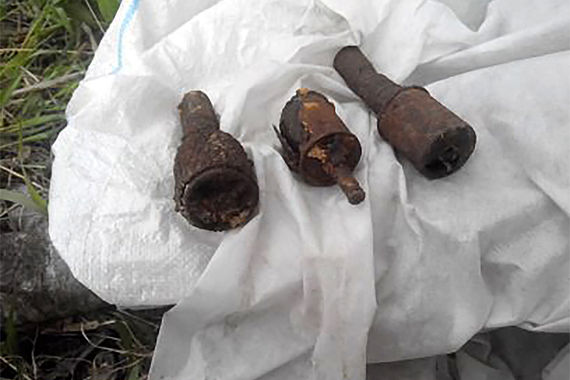 В Тарногском районе нашли гранаты со взрывателями