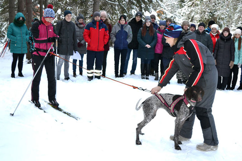 statics/images/arcticles/012020/29012020x1145609e.jpg