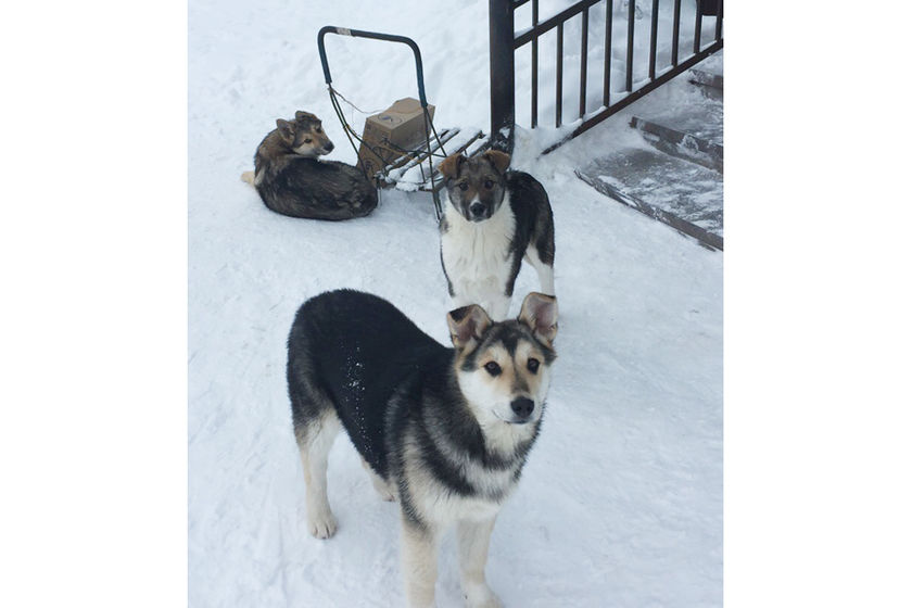 statics/images/arcticles/022019/20022019x0c1128b2.jpg