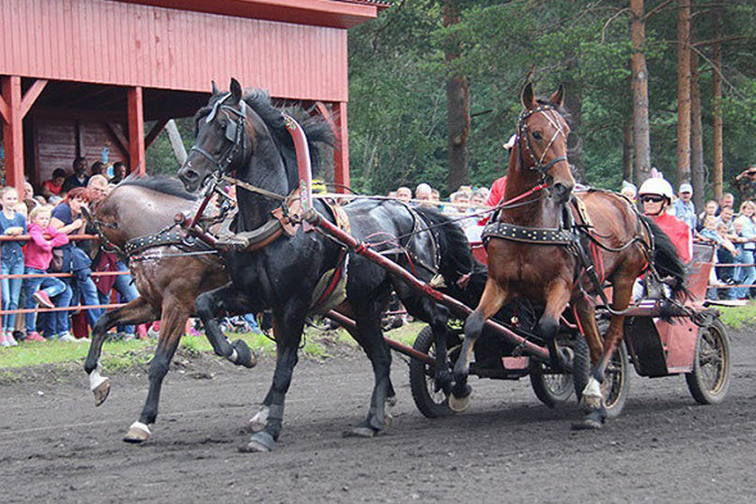 statics/images/arcticles/072019/24072019x4faa4e61.jpg