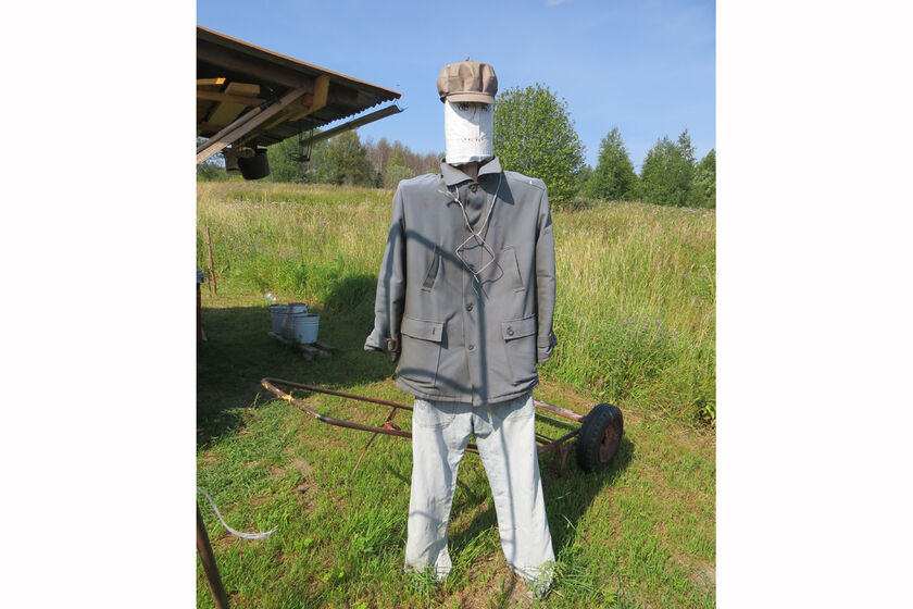 statics/images/arcticles/082025/28082025x47b1e288.jpg