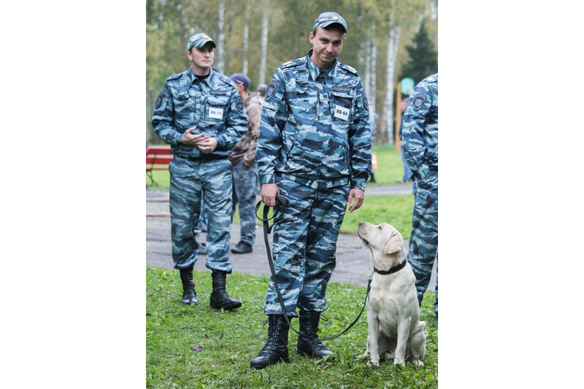 statics/images/arcticles/102018/01102018x5214be6c.jpg