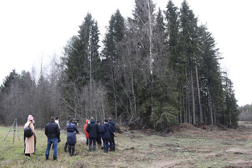 statics/images/arcticles/112021/10112021x3a716d5c.jpg