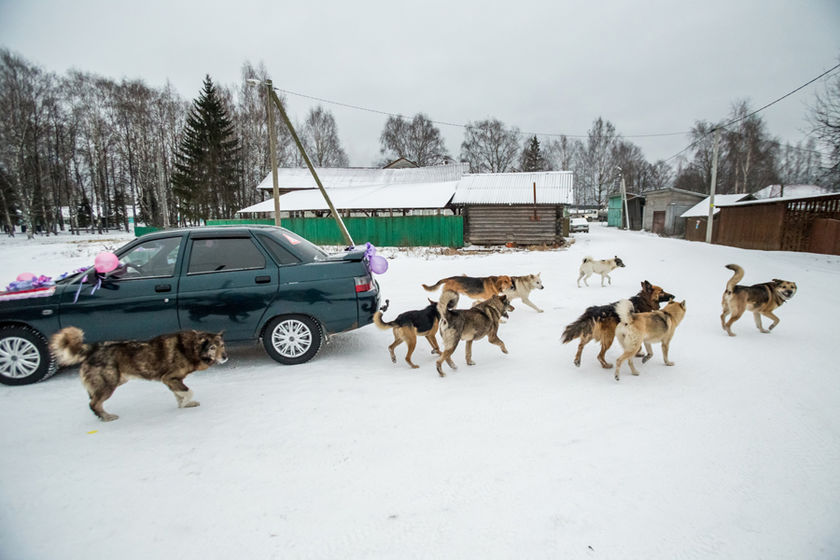 statics/images/arcticles/122019/02122019x7ec14d6c.jpg