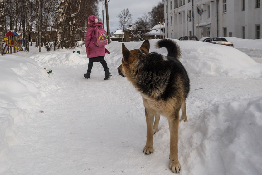 statics/images/arcticles/122019/02122019xd87e9b89.jpg