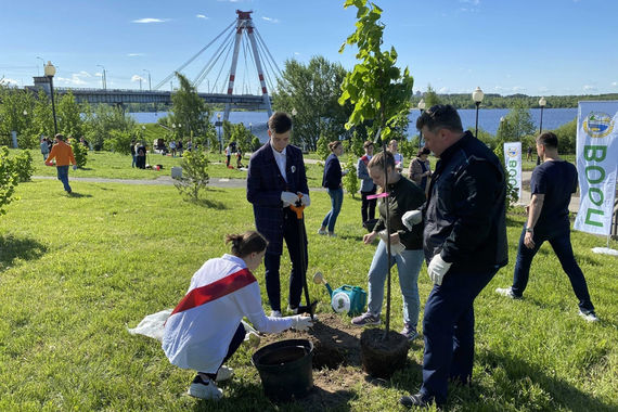 В Череповце готовятся к фестивалю цветов