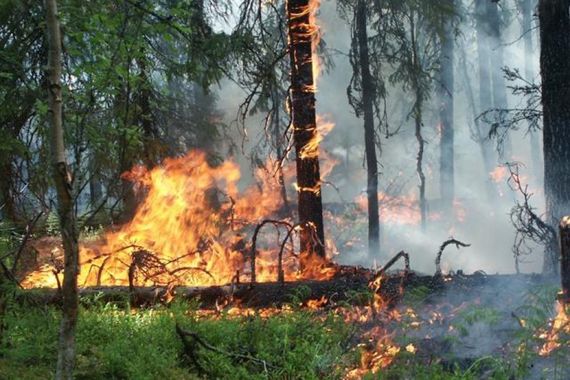 Пожар локализовали быстро