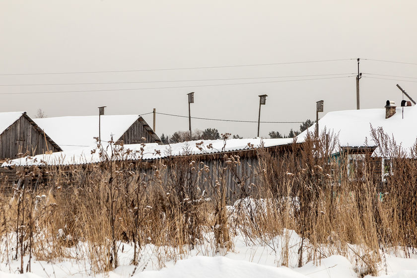 statics/images/arcticles/022021/11022021xf6f027bd.jpg