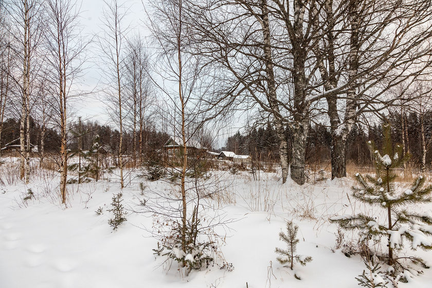 statics/images/arcticles/022021/25022021x5bc1da62.jpg