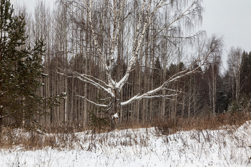 statics/images/arcticles/022021/25022021x7921bfa6.jpg