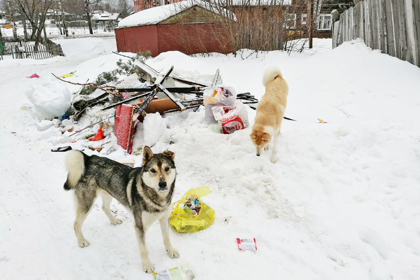 statics/images/arcticles/032019/27032019x03ded002.jpg