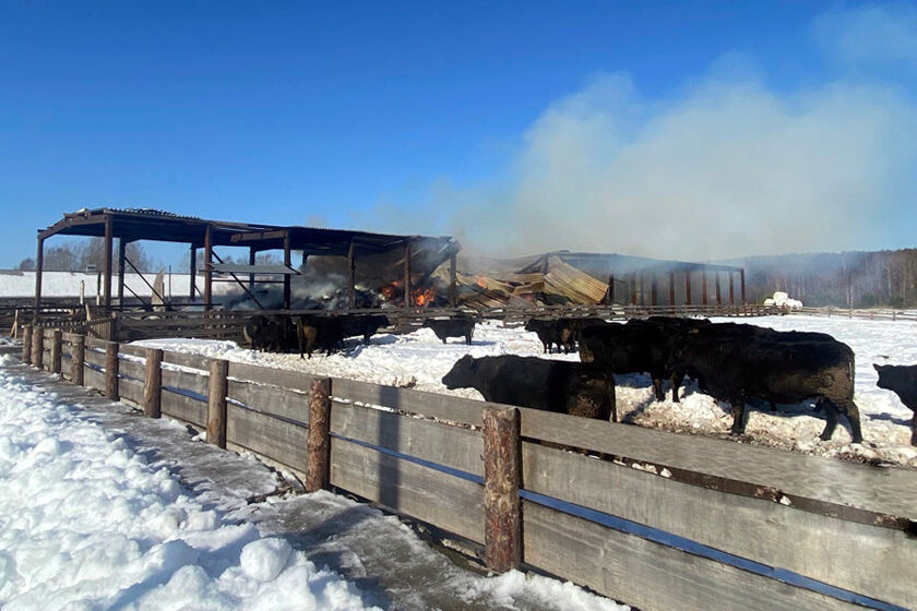 statics/images/arcticles/032026/25032026x54b1272f.jpg