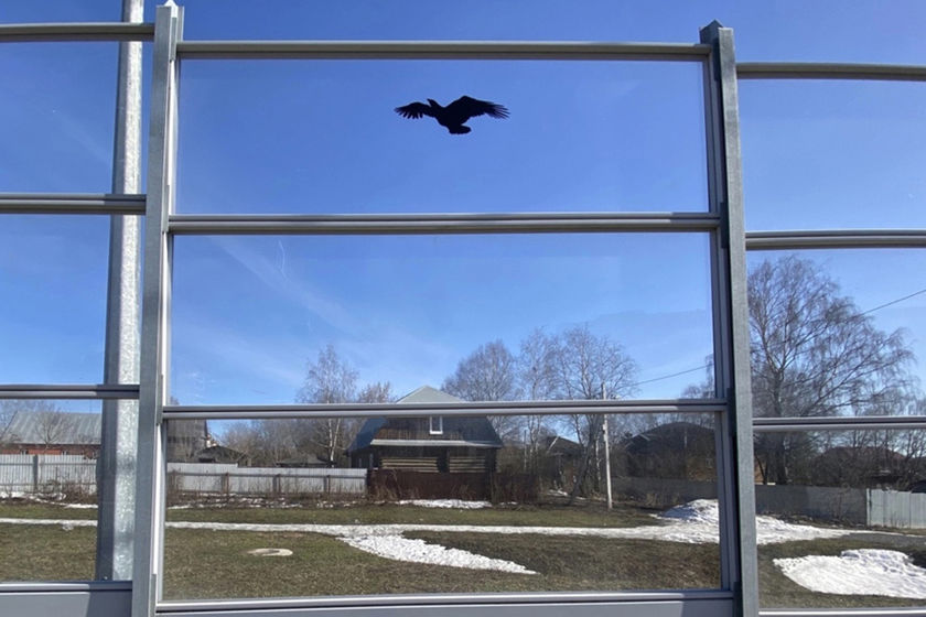 statics/images/arcticles/042023/12042023x5282b744.jpg