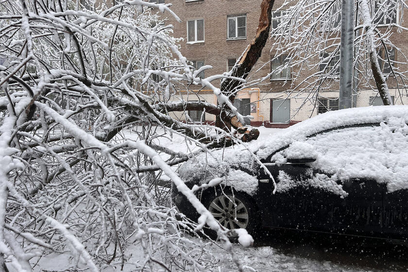 statics/images/arcticles/042026/29042026xeb37ca33.jpg