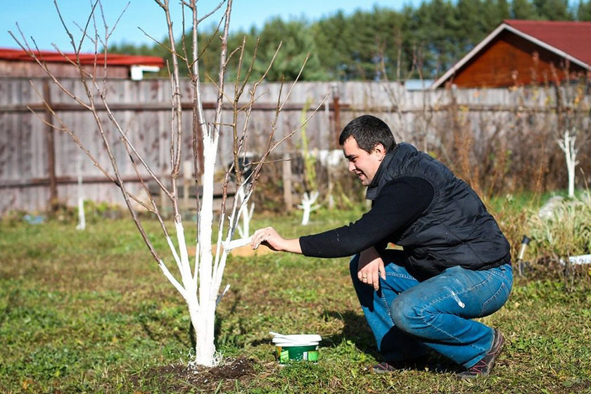 statics/images/arcticles/052020/06052020xfb86c191.jpg