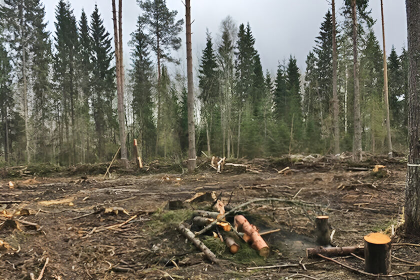 statics/images/arcticles/052026/28052026x4b37673b.jpg