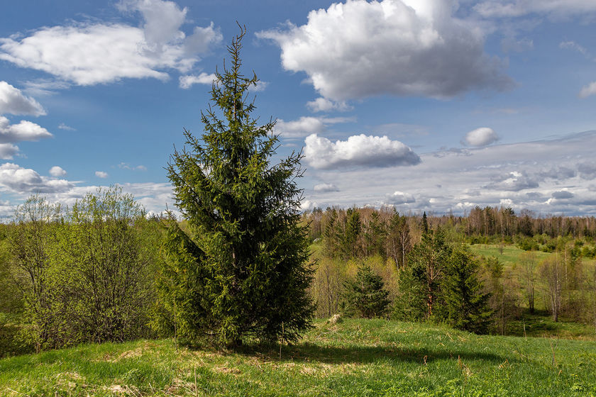 statics/images/arcticles/062020/15062020xae36d57e.jpg