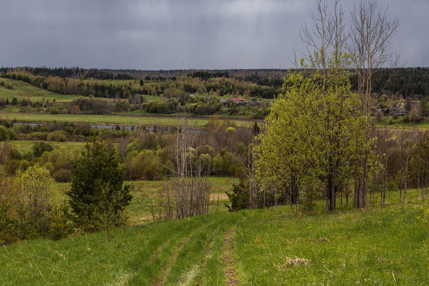 statics/images/arcticles/072020/10072020x49600a12.jpg