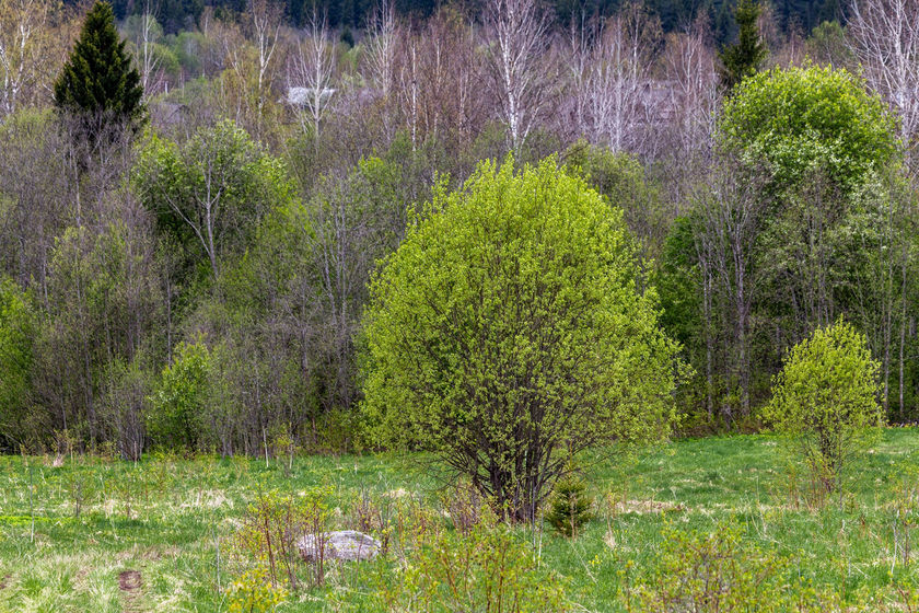 statics/images/arcticles/072020/10072020xfe7dcb16.jpg