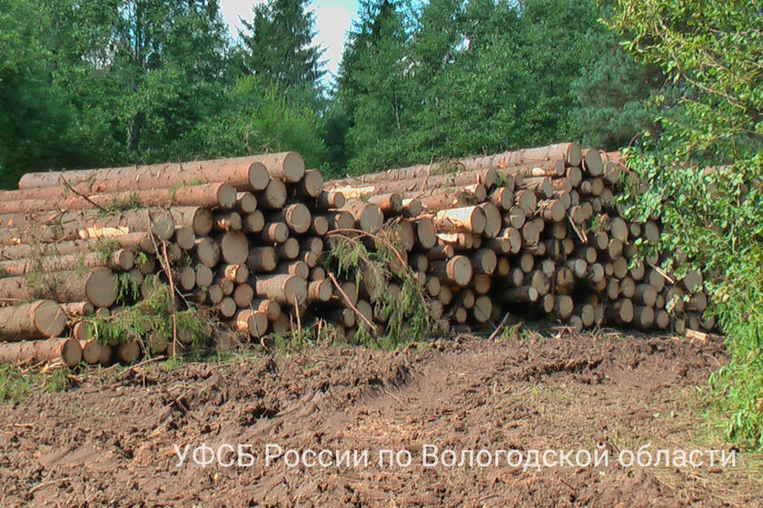 statics/images/arcticles/072025/30072025x72f703b7.jpg