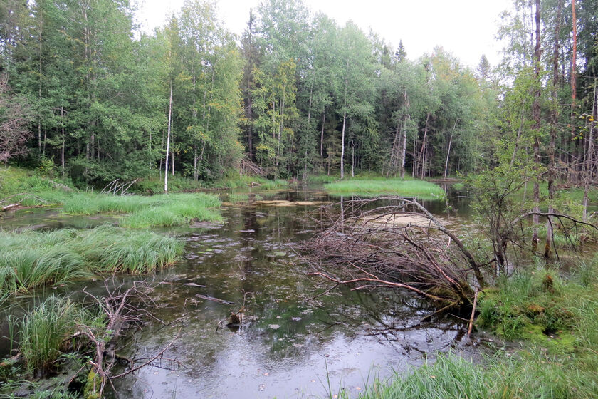 statics/images/arcticles/102024/02102024x3c14841c.jpg