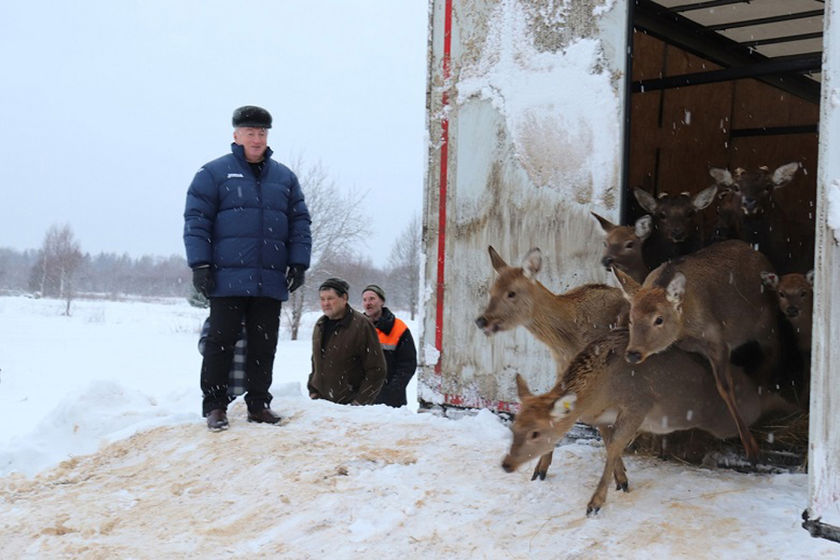 statics/images/arcticles/122022/28122022xcf9abc1a.jpg